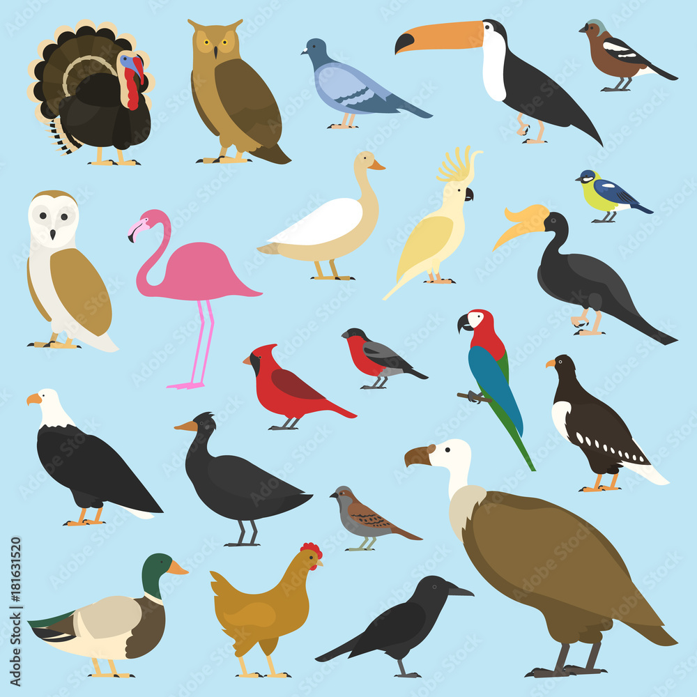 Fototapeta premium set of domestic birds and tropical animals. griffon vultures, cockatoo parrot. rhinoceros hornbill, toco toucan, flamingo and extinct species. moa, dodo and feather.