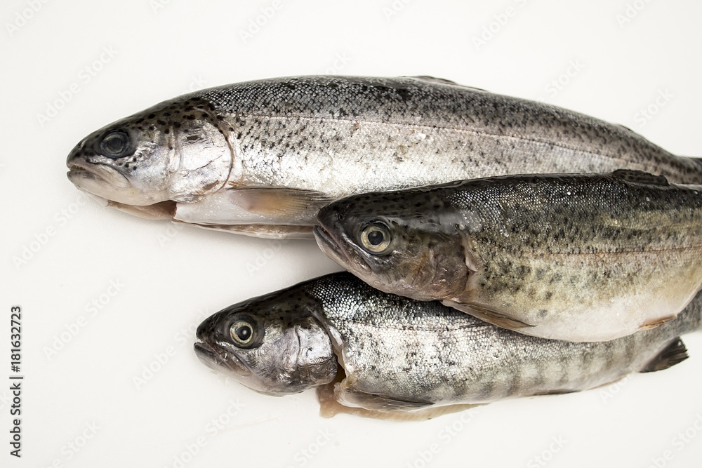 Fresh river trout isolate on a white background Fresh river trout isolate on a white background