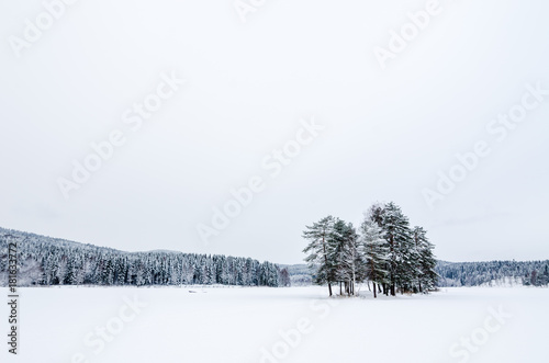 Clean view of a frozen lake with a small island with trees. Sognsvann lake in Oslo. Copy space photo