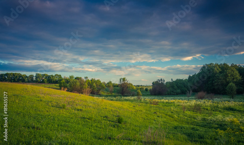 Summer landscape