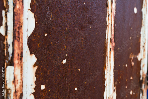 Rust on old steel door pic is thin dof use selective focus , for use as background ready for add text or graphic in advertise
