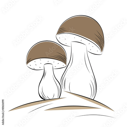 White mushrooms hand-drawn in the sketch style. It can be used as a logo, label, product packaging, sticker. Vector illustration.