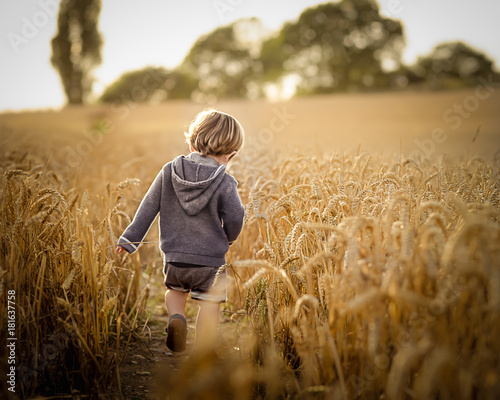 Walking In Fields Of Gold