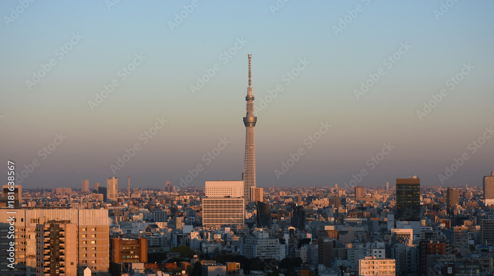 日本の東京都市景観「夕日に赤く染まる街並み」（墨田区方面などを望む）