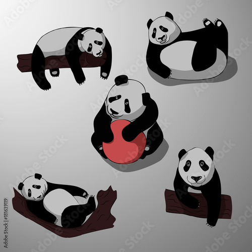 Fototapeta Naklejka Na Ścianę i Meble -  Cute cartoon panda set icons. Black white hand drawn doodle animal