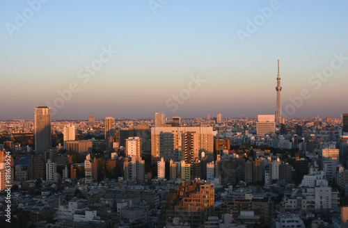 日本の東京都市風景「夕日に赤く染まる街並み」（台東区や墨田区方面などを望む）