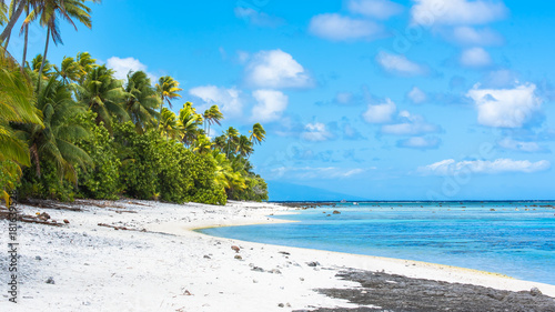 Fototapeta Naklejka Na Ścianę i Meble -  Tropical beach, in French Polynesia, with coconut tree on the turquoise sea 

