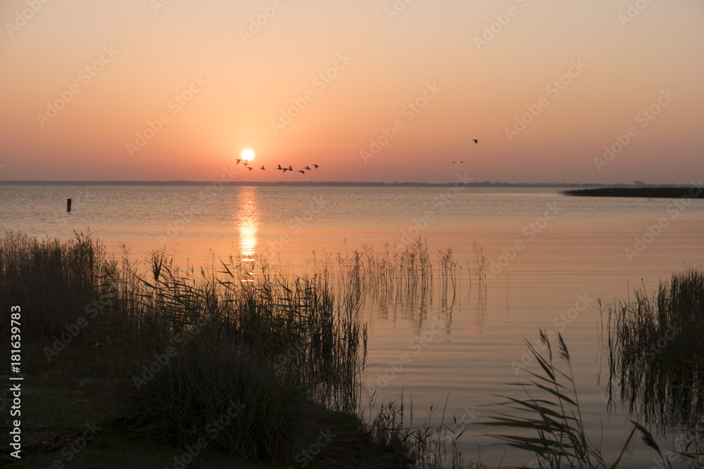 Sonnenaufgang am Bodden auf Fischland
