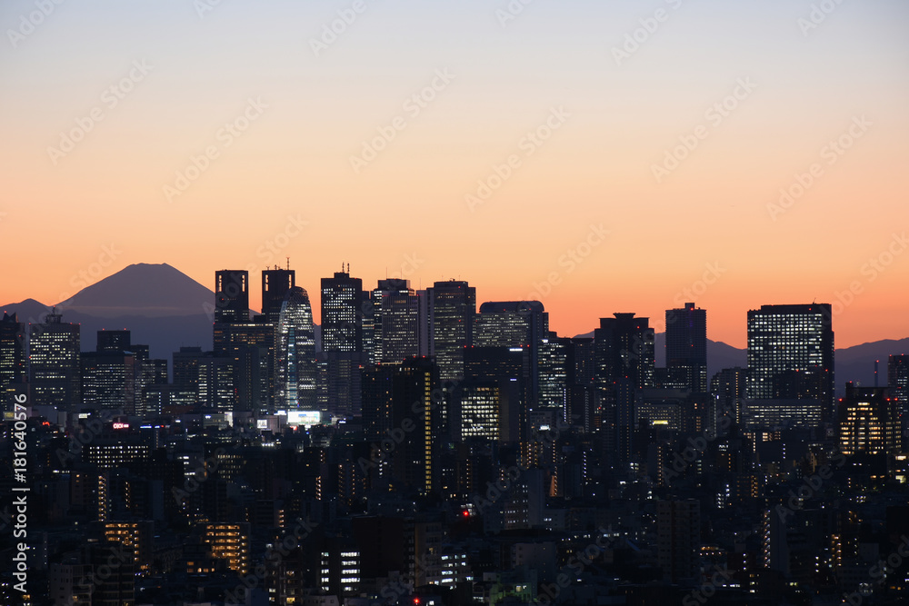 日本の東京都市風景・美しい夜景「富士山と新宿の高層ビル群」