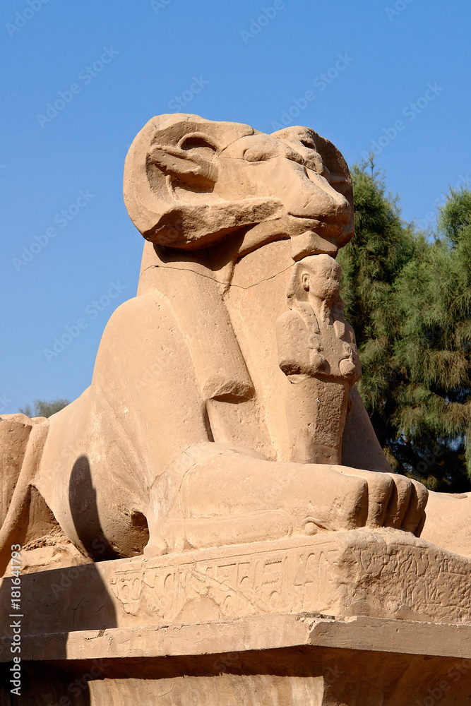 Close-up on ram-headed Sphinx in Karnak Temple - Luxor, Egypt. The avenue of sphinxes consist of statues with lions' bodies and the heads of rams, symbolizing Amun.