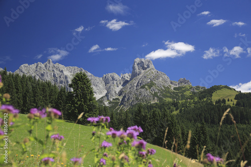 Bischofsmütze Gebirgsstock im Dachsteingebiet, Österreich, Europa