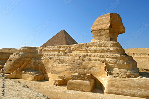 Great Sphinx of Giza profile with pyramid of Khafre in the background - Cairo  Egypt