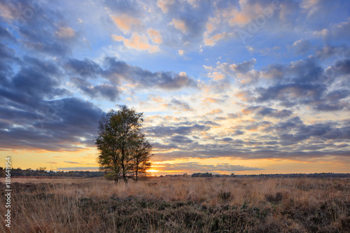 Colorful autumn sunset scenery at a tranquil moorland, Goirle, The Netherlands