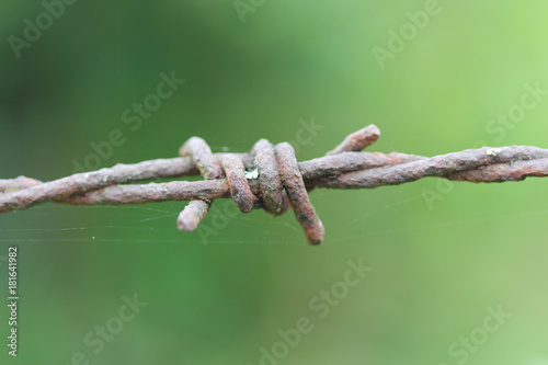 old barbed wire