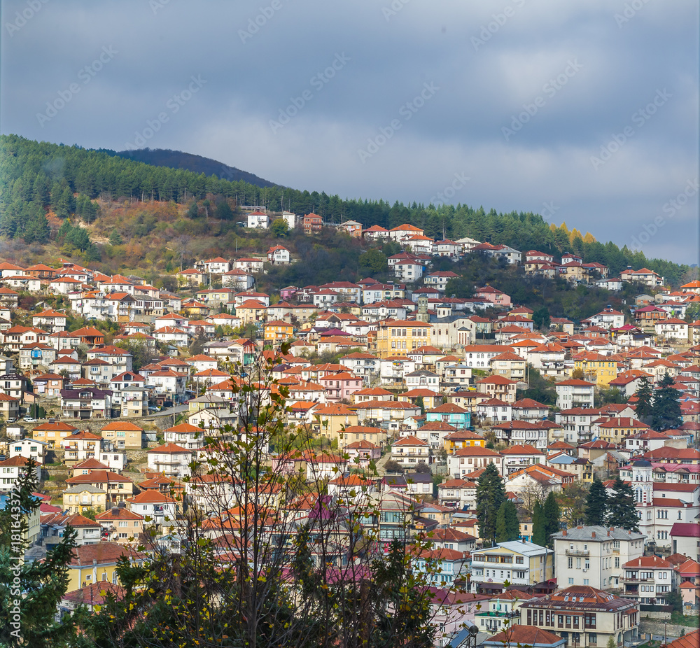 Beautiful small mountain town with colorful houses and forest around 