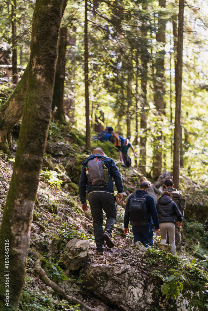 Group of tourists hiking through the forest