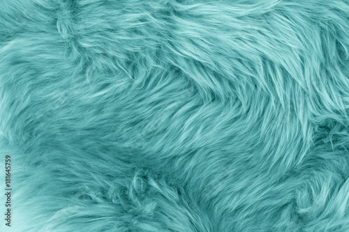 Turquoise blue sheepskin rug background