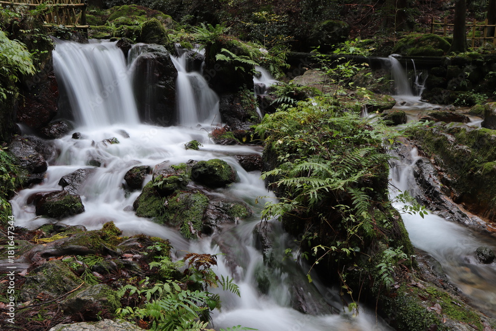 Fototapeta premium 瓜割の滝