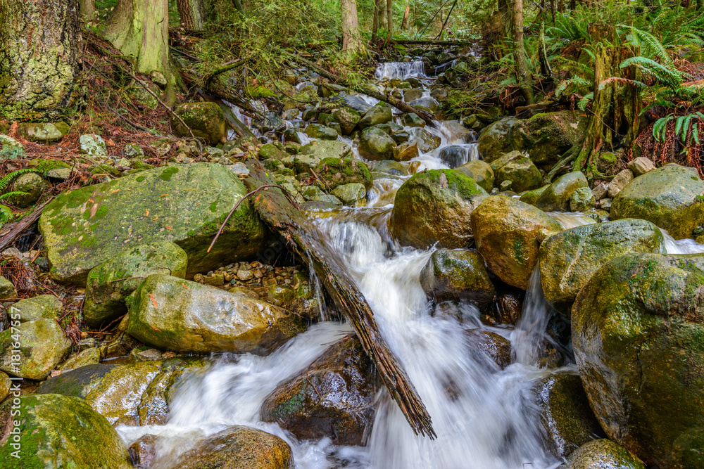 Beautiful Mountain River or Creek at West Vancouver, Canada. Beautiful Mountain River or Creek at West Vancouver, Canada.