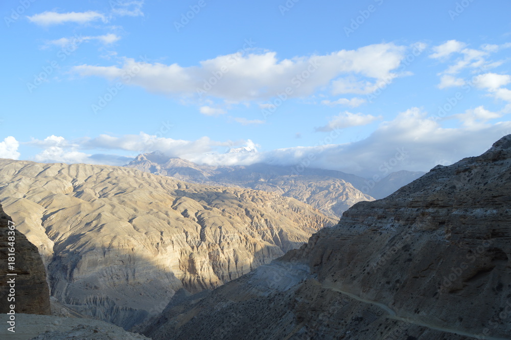 Obraz premium nature through lens