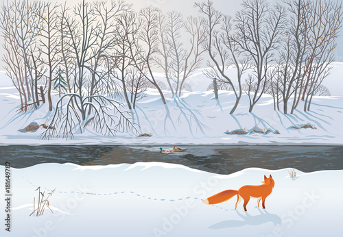 Fox in the winter forest hunting a duck