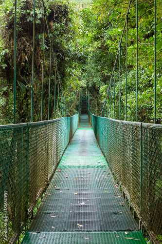 Fototapeta Naklejka Na Ścianę i Meble -  Hanging suspension bridge in Monteverde cloud forest reserve Costa Rica