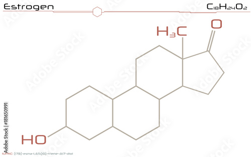 Large and detailed illustration of the molecule of Estrogen