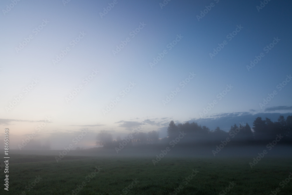 Foggy grassland at dawn landscape nature background