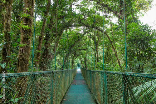 Hanging suspension bridge in Monteverde cloud forest reserve Costa Rica