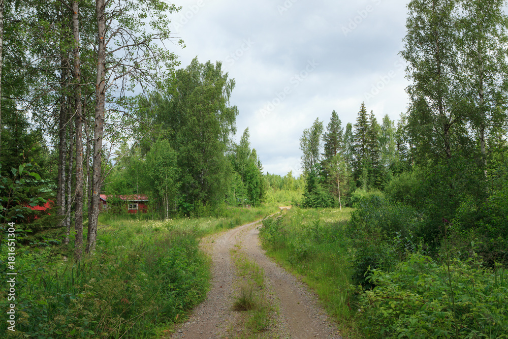 Dirt road in countryside in Finland at summer day Dirt road in countryside in Finland at summer day