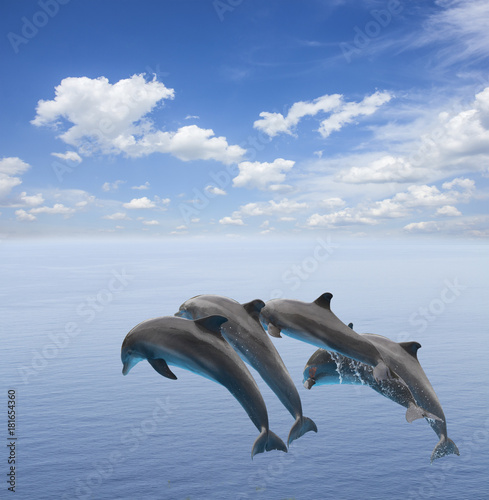Some jumping dolphins, beautiful seascape with deep ocean waters © neirfy