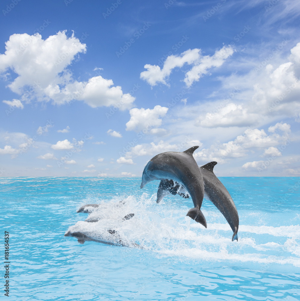 pack of jumping dolphins, beautiful seascape with deep ocean waters and cloudscape at bright day