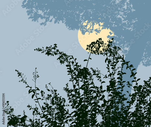 Canvas Print Silhouettes of the plants in the moonlit night
