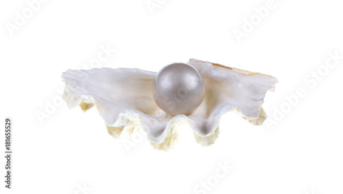 beautiful shell with a pearl