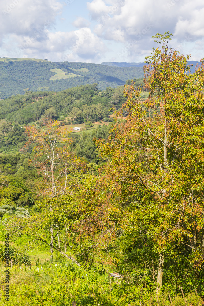 Farm in Valley and mountains in Nova Petropolis