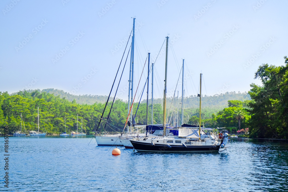 Beautiful moored boats on sunny day