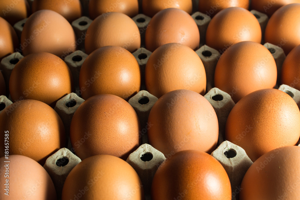 Fresh eggs from the farm in the panel white paper. Fresh eggs from the farm in the panel white paper.