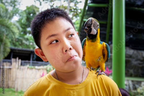 Red Macaw Bird (Bird Scarlett Macaw) with the children.