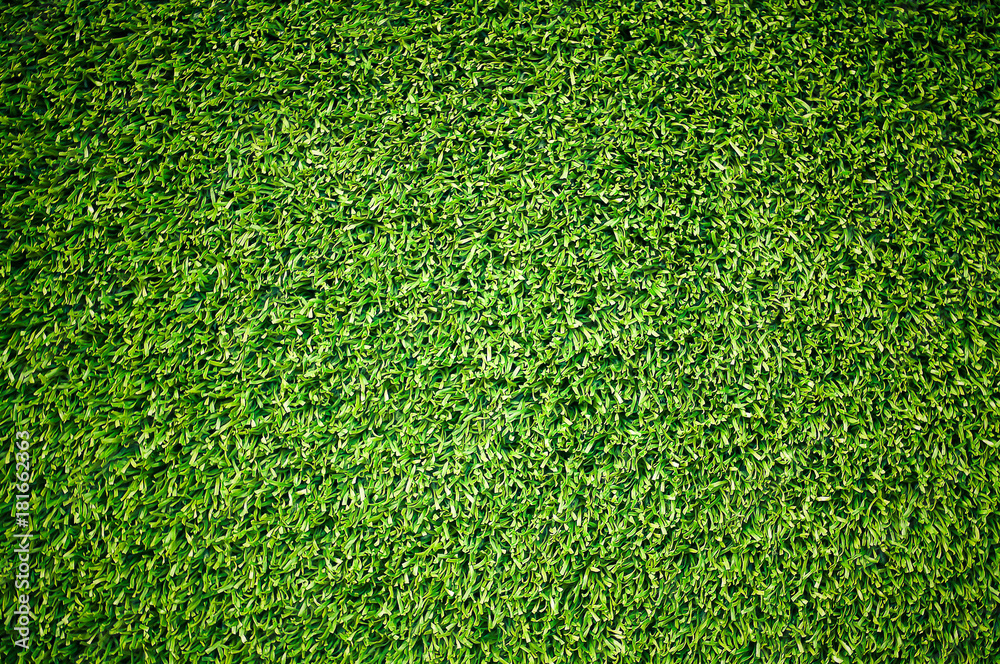 Fototapeta premium Close up Green grass texture background