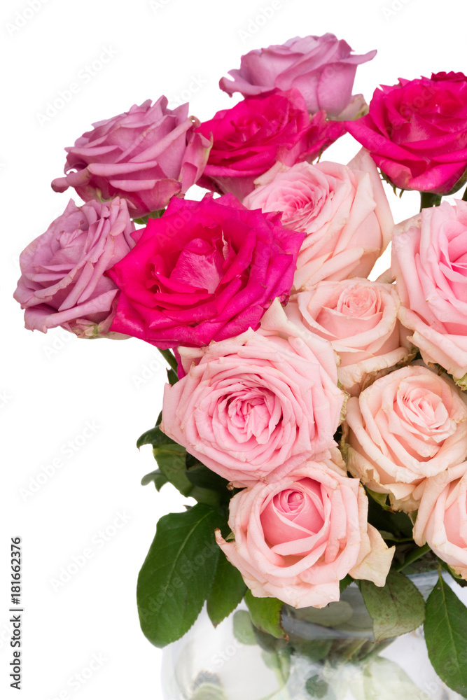 Bunch pink and violet blooming fresh rose flowers close up isolated on white background Bunch pink and violet blooming fresh rose flowers close up isolated on white background