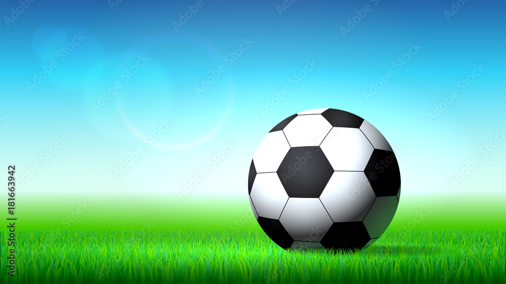 Fototapeta premium Soccer ball on the grass, soccer stadium