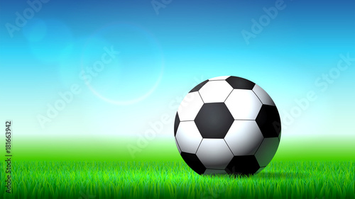 Soccer ball on the grass, soccer stadium © lidiia