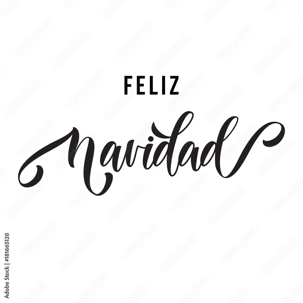 Merry Christmas Feliz Navidad hand drawn calligraphy modern lettering text for Spanish Christmas greeting card. Vector festive flourish ornamental winter holiday quote on white background