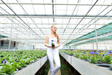 Young gardener woman standing in a greenhouse, holding a flower