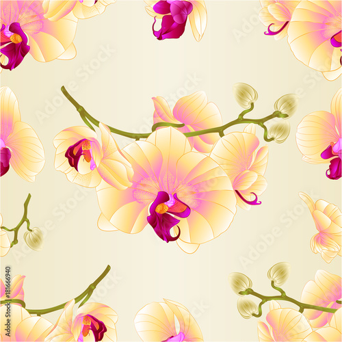 Seamless texture branch orchids flowers yellow Phalaenopsis tropical plant stem and buds vintage vector botanical illustration for design editable hand draw