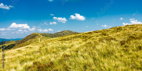 panorama of grassy mountain ridge. beautiful summer scenery in fine weather with some clouds on a blue sky
