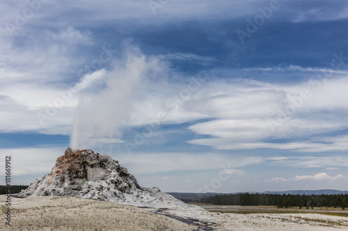 Wallpaper Mural Yellowstone National Park, Teton County, Wyoming, United States. White Dome Geyser erupts. Torontodigital.ca