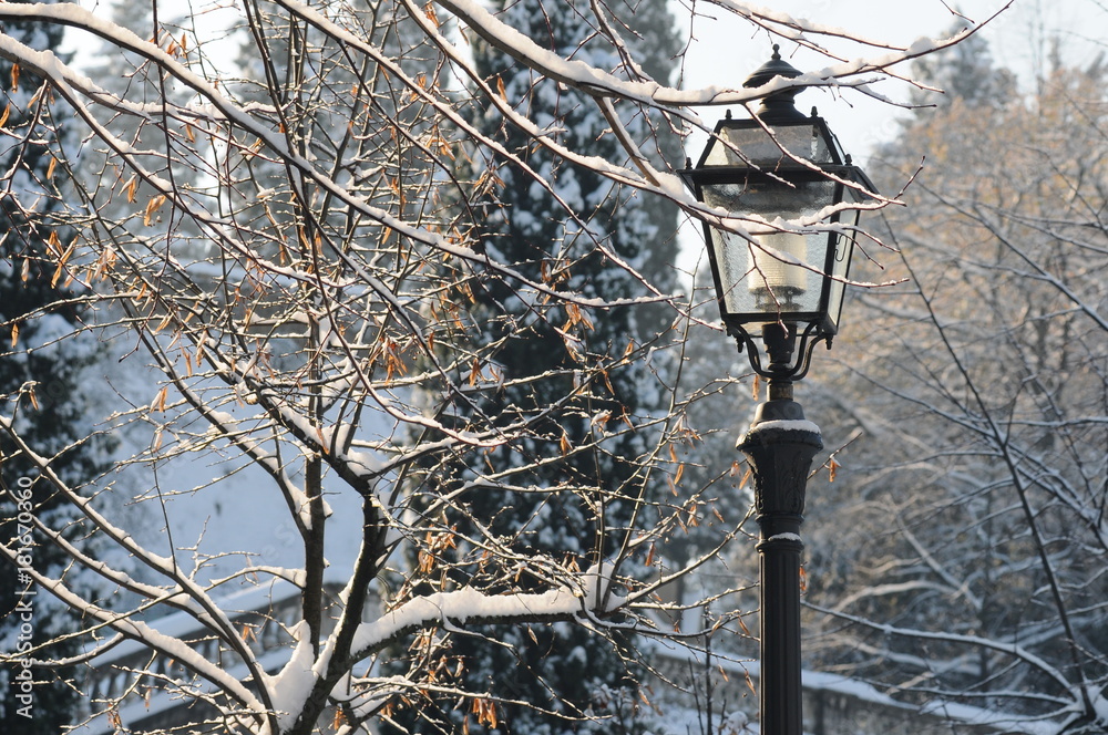 Winter season in Florence. Old lamp with snowy trees at the Piazzale Michelangelo. Italy Winter season in Florence. Old lamp with snowy trees at the Piazzale Michelangelo. Italy