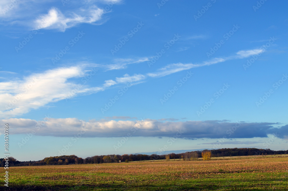 Harvested stubblefields under blue sky and white clouds in the surrounding countryside of Berlin, Germany