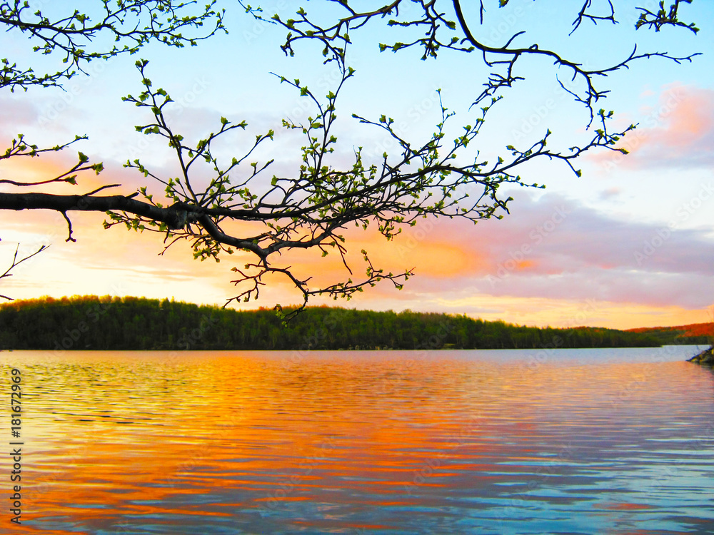 Branch of a birch on a background of a lake Branch of a birch on a background of a lake